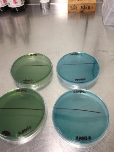 Selective media for microbial analysis